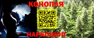 шишки Тула